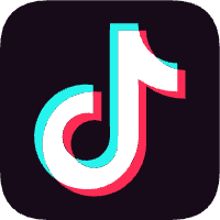 Logo for ally-tiktok